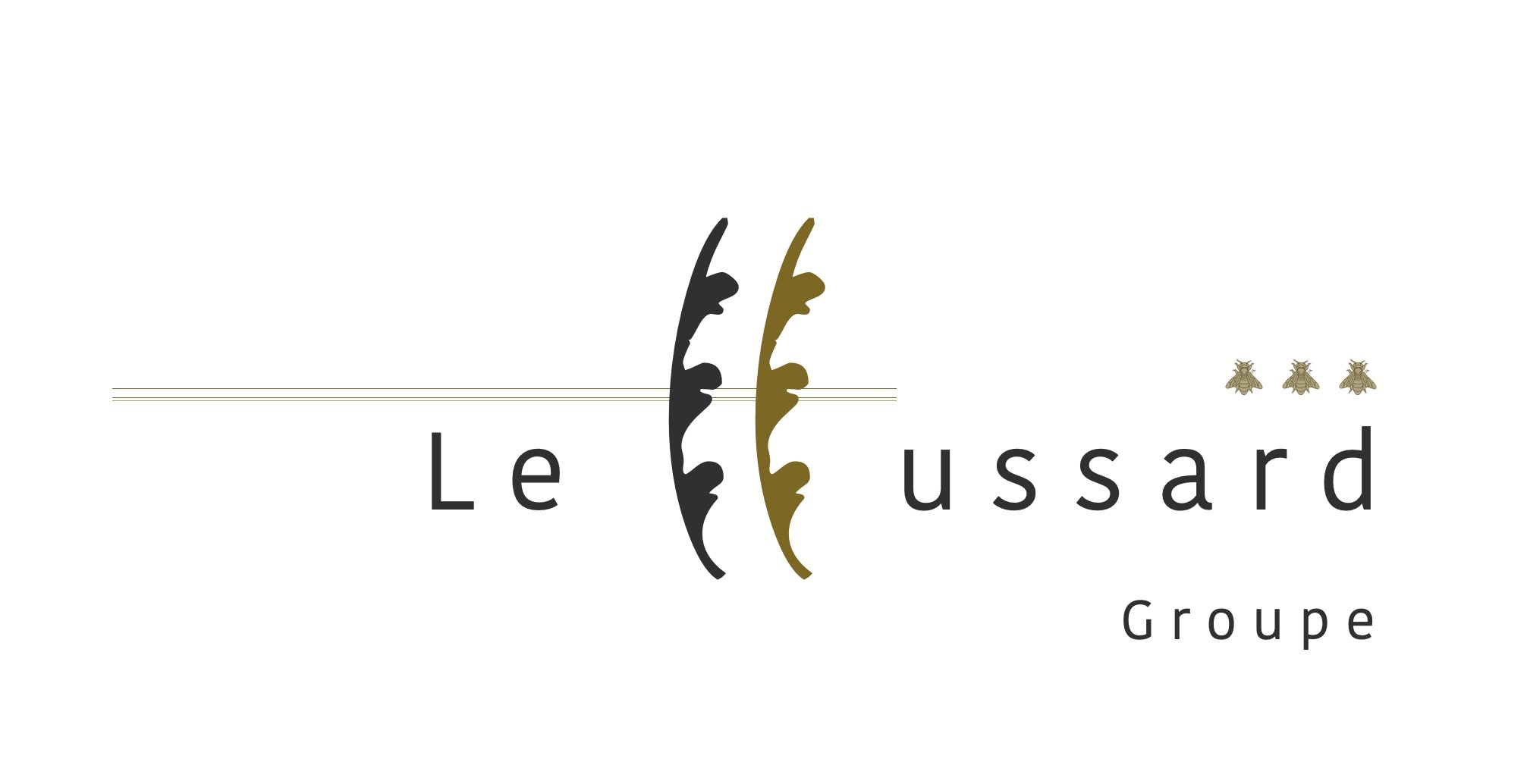 Le groupe hussard
